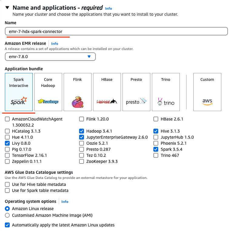 AWS EMR Spark application bundle selection showing Hadoop, Spark, Hive, Livy, and Jupyter