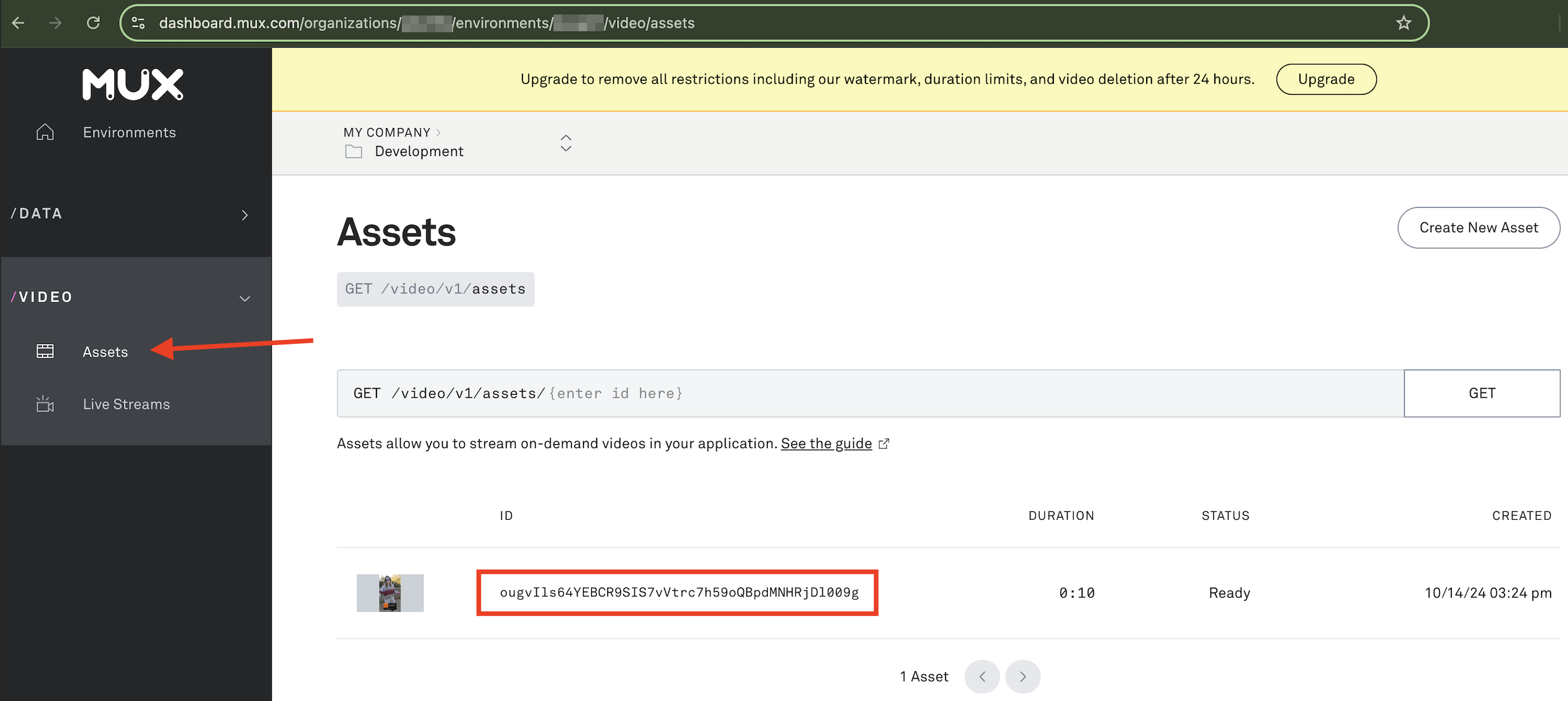 Mux asset list showing available video assets